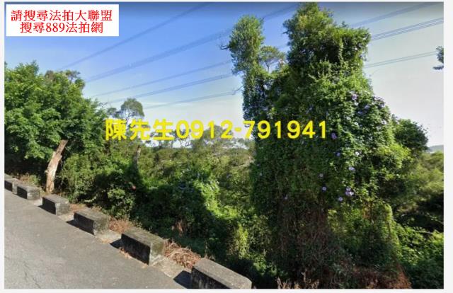 外埔農地_山坡地法拍-13