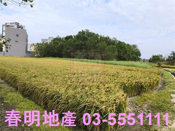 新竹北區農地-6
