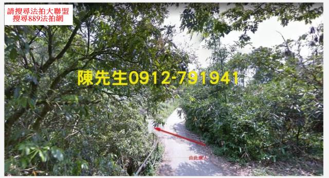 東勢山坡地_殯葬用地法拍-11