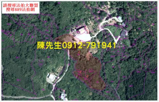 雙溪法拍農地_山坡地-5
