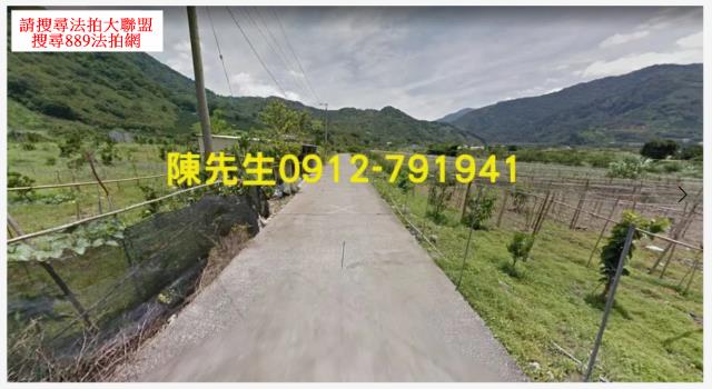 泰安農地_山坡地法拍-10