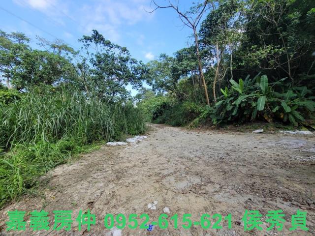 白河農地_休閒地_林地-10