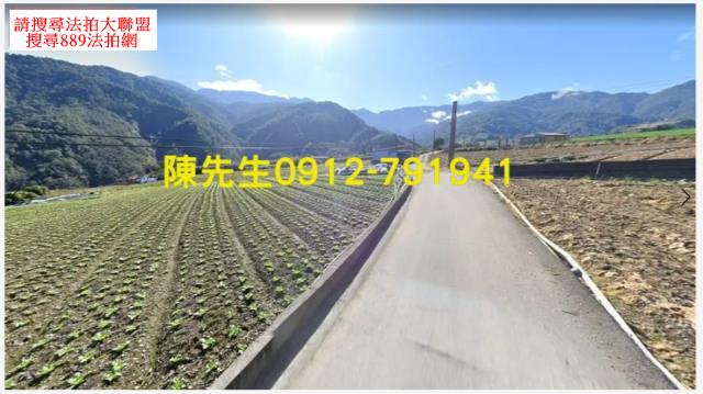 宜蘭農地_山坡地_原住民保留地法拍-10