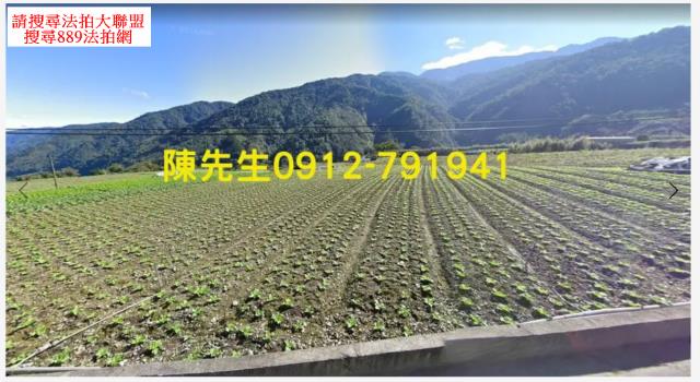 宜蘭農地_山坡地_原住民保留地法拍-8