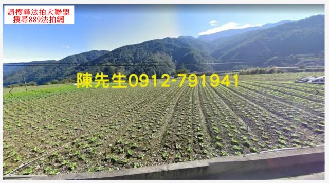 宜蘭農地_山坡地_原住民保留地法拍-9