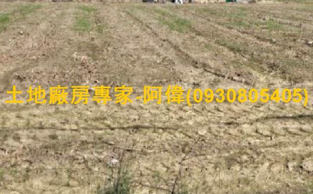 高雄大寮農地-1