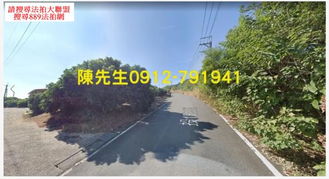 南投市法拍山坡地_林地-10