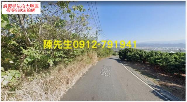 南投市法拍山坡地_林地-3