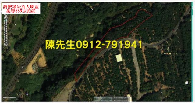 南投市法拍山坡地_林地-4