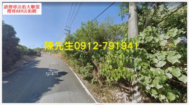南投市法拍山坡地_林地-8