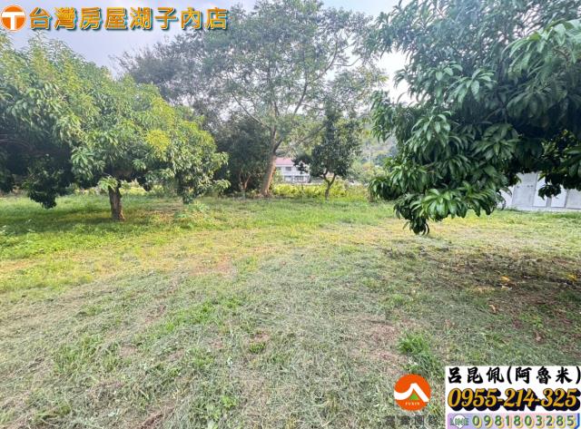 嘉義農地_建地-11