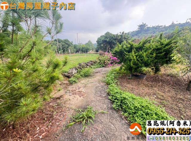 嘉義農地_建地-9