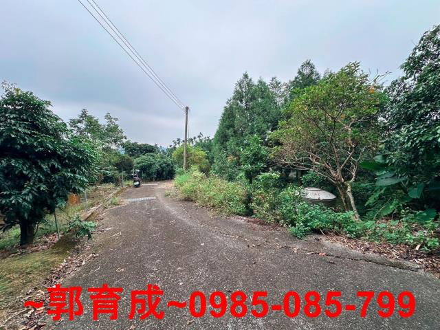 竹崎農地-1