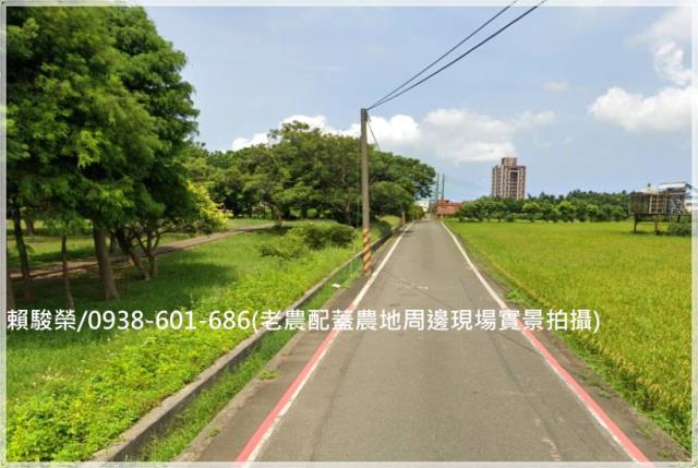 中壢月桃路老農配蓋田