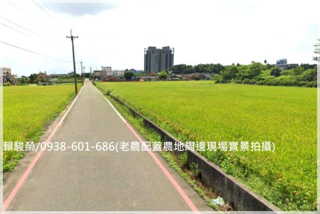 中壢月桃路老農配蓋田