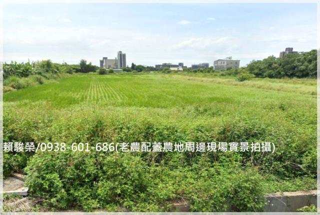 中壢月桃路老農配蓋田