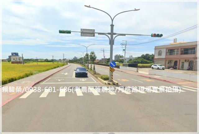 中壢月桃路老農配蓋田