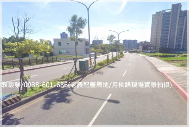 中壢月桃路老農配蓋田