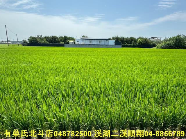 福興農地-1