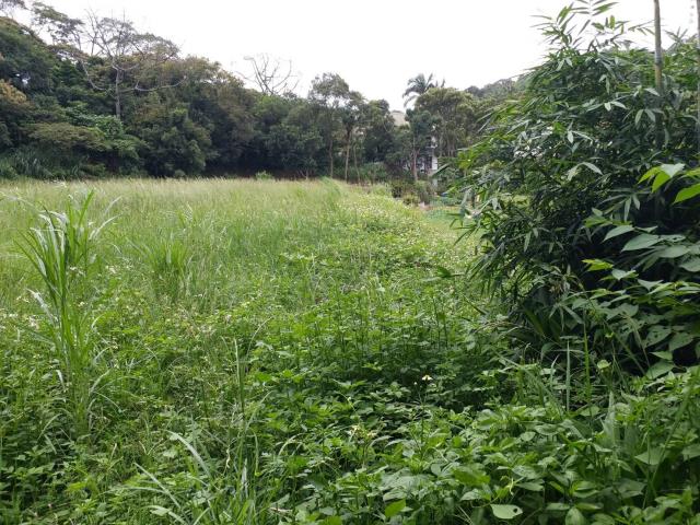 楊梅建地_山坡地-4