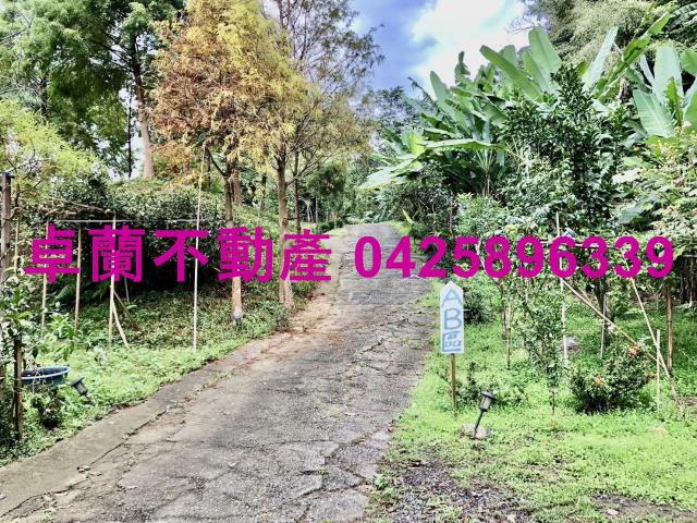 苗栗卓蘭農地_山坡地_休閒地-8