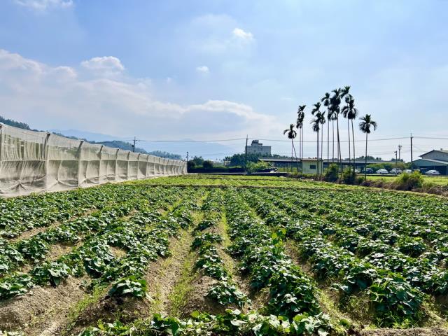 南投農地_休閒地-5