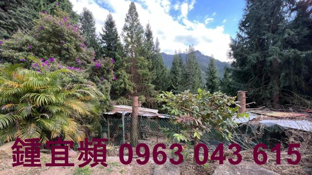 新竹北埔農地_山坡地_休閒地-10