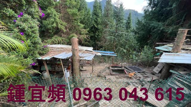 新竹北埔農地_山坡地_休閒地-11