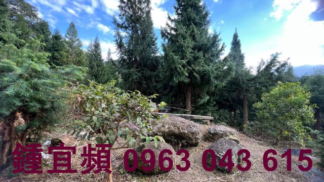 新竹北埔農地_山坡地_休閒地-12