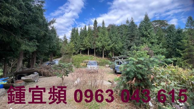 新竹北埔農地_山坡地_休閒地-13