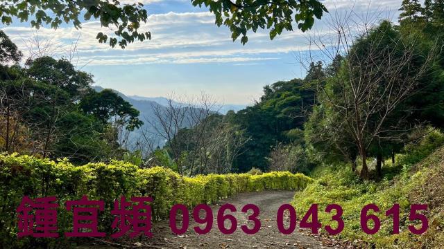 新竹北埔農地_山坡地_休閒地-15