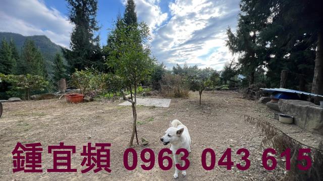 新竹北埔農地_山坡地_休閒地-4