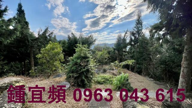 新竹北埔農地_山坡地_休閒地-6