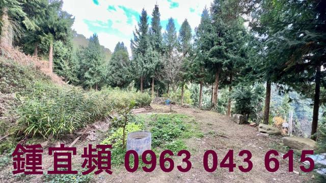 新竹北埔農地_山坡地_休閒地-7