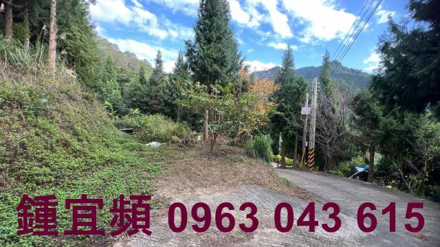 新竹北埔農地_山坡地_休閒地-8