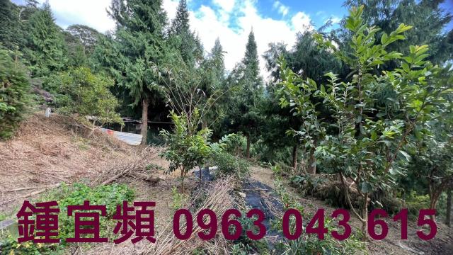 新竹北埔農地_山坡地_休閒地-9