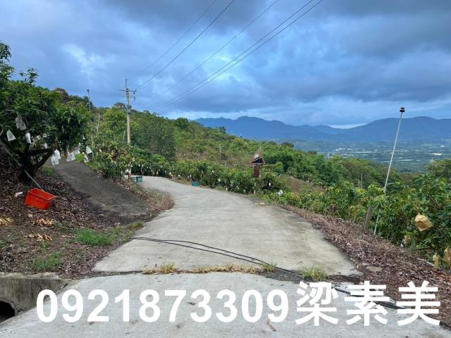 玉井農地-4