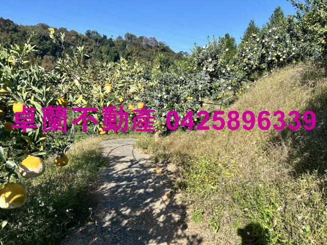 卓蘭農地_山坡地_休閒地-5