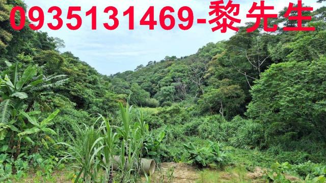 三灣農地-6