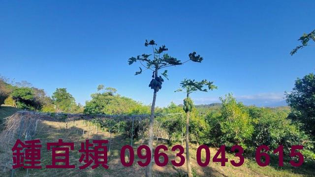 苗栗農地_山坡地_休閒地-10