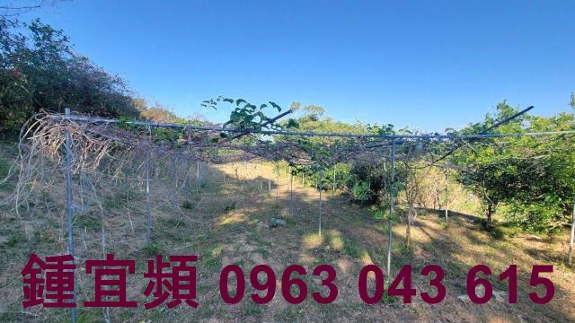 苗栗農地_山坡地_休閒地-11