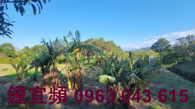 苗栗農地_山坡地_休閒地-15