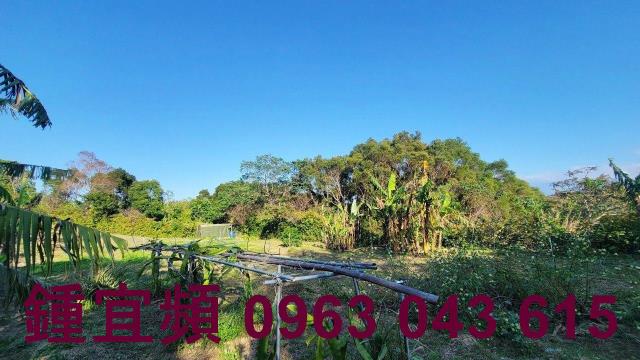 苗栗農地_山坡地_休閒地-4