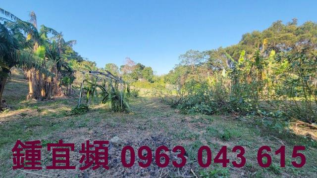 苗栗農地_山坡地_休閒地-7
