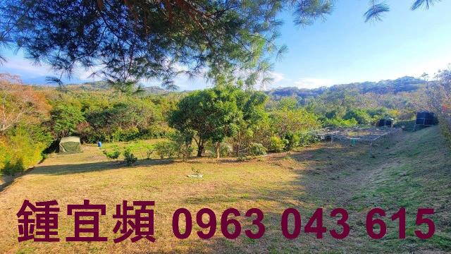 苗栗農地_山坡地_休閒地-8