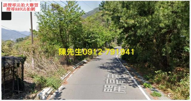 信義鄉法拍原住民保留地-3