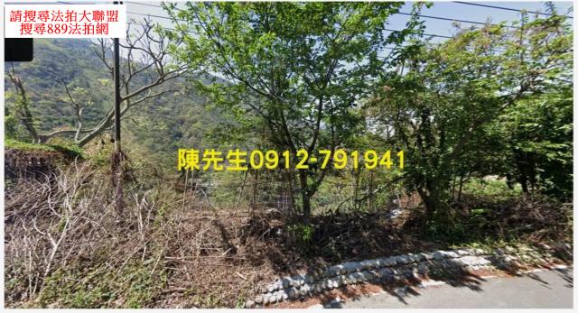 信義鄉法拍原住民保留地-8