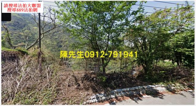 信義鄉法拍原住民保留地-9