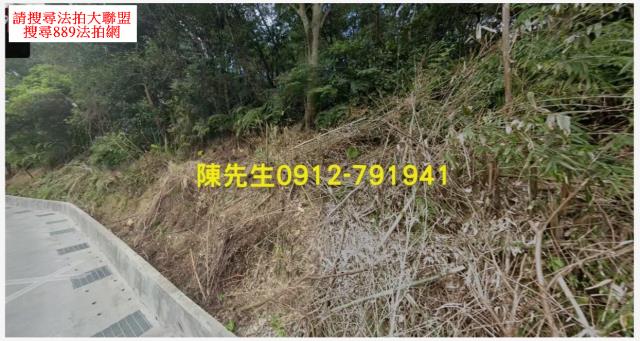 深坑農地_山坡地法拍-9