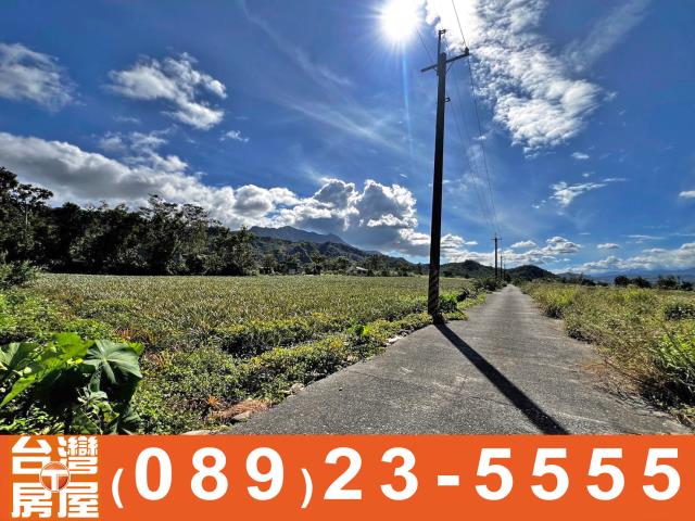 鑽石台東房屋買賣